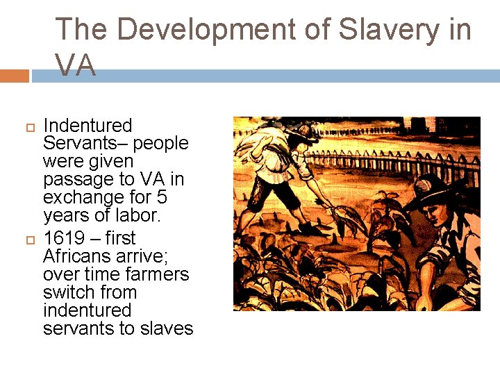 The Development of Slavery in VA Indentured Servants– people were given passage to VA