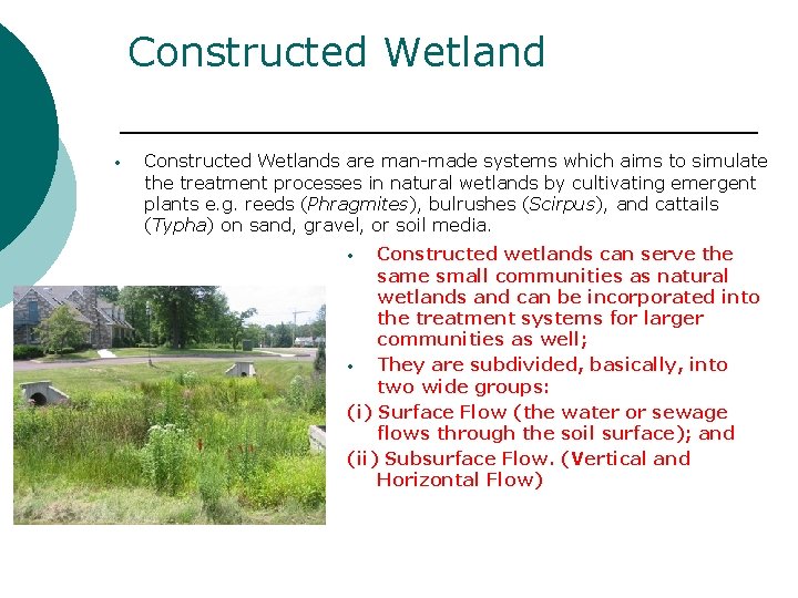 Constructed Wetland • Constructed Wetlands are man-made systems which aims to simulate the treatment