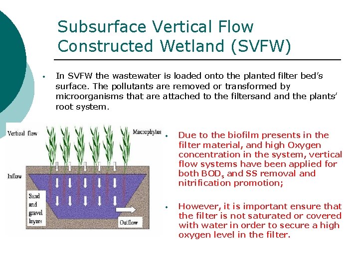 Subsurface Vertical Flow Constructed Wetland (SVFW) • In SVFW the wastewater is loaded onto