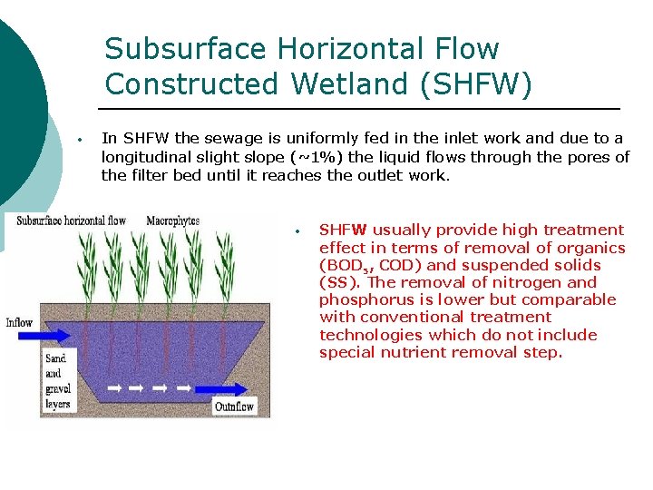 Subsurface Horizontal Flow Constructed Wetland (SHFW) • In SHFW the sewage is uniformly fed
