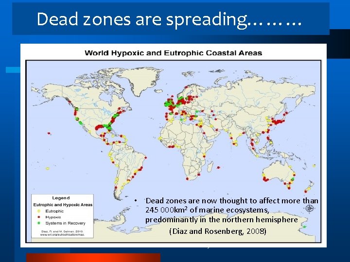 Dead zones are spreading……… • Dead zones are now thought to affect more than