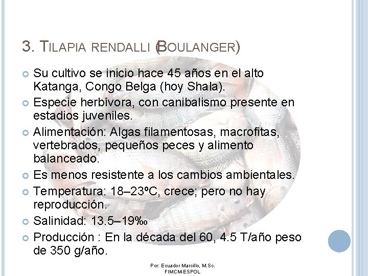 3. TILAPIA RENDALLI (BOULANGER) Su cultivo se inicio hace 45 años en el alto