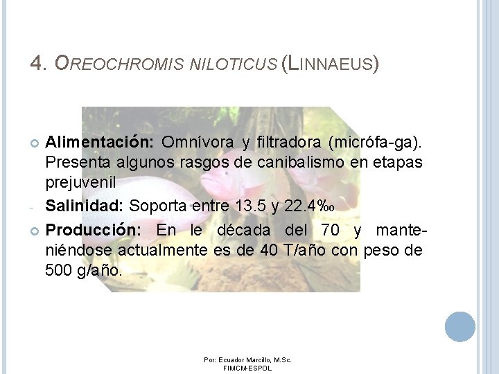 4. OREOCHROMIS NILOTICUS (LINNAEUS) Alimentación: Omnívora y filtradora (micrófa-ga). Presenta algunos rasgos de canibalismo