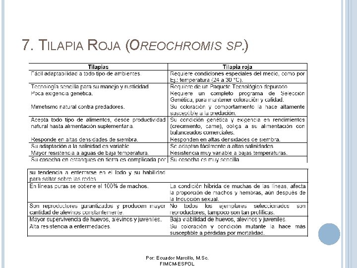 7. TILAPIA ROJA (OREOCHROMIS SP. ) Por: Ecuador Marcillo, M. Sc. FIMCM-ESPOL 7. TILAPIA ROJA (OREOCHROMIS SP. ) Por: Ecuador Marcillo, M. Sc. FIMCM-ESPOL