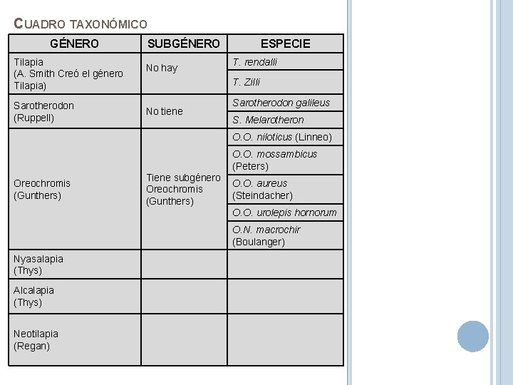 CUADRO TAXONÓMICO GÉNERO SUBGÉNERO Tilapia (A. Smith Creó el género Tilapia) No hay Sarotherodon