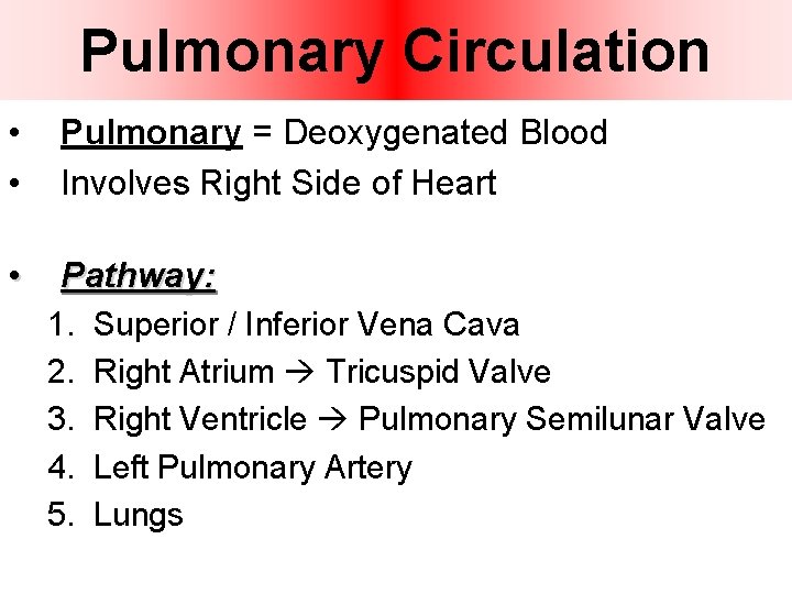 Pulmonary Circulation • • • Pulmonary = Deoxygenated Blood Involves Right Side of Heart