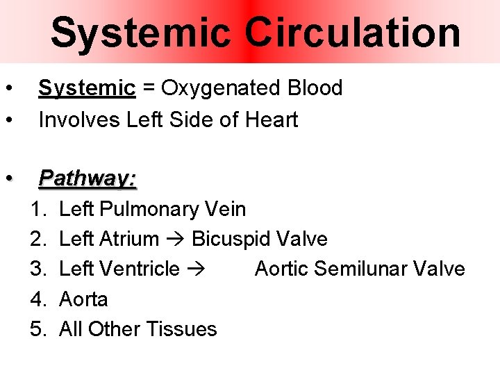 Systemic Circulation • • • Systemic = Oxygenated Blood Involves Left Side of Heart