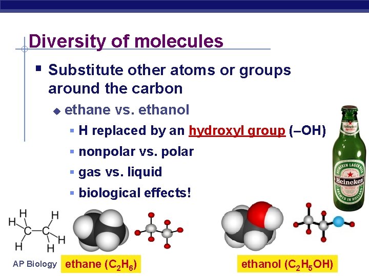Diversity of molecules § Substitute other atoms or groups around the carbon u ethane