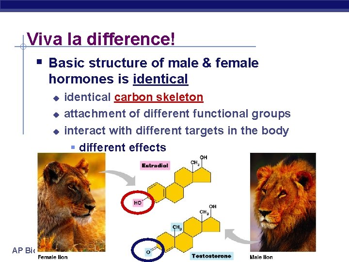 Viva la difference! § Basic structure of male & female hormones is identical u