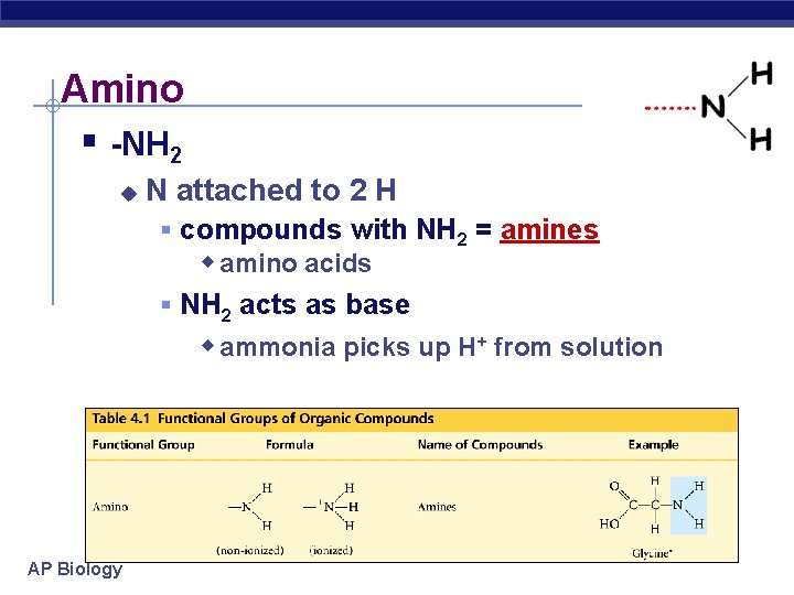 Amino § -NH 2 u N attached to 2 H § compounds with NH