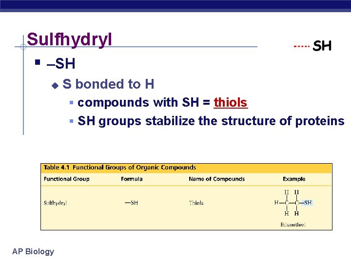 Sulfhydryl § –SH u S bonded to H § compounds with SH = thiols