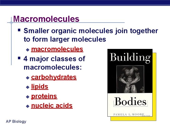 Macromolecules § Smaller organic molecules join together to form larger molecules u macromolecules §