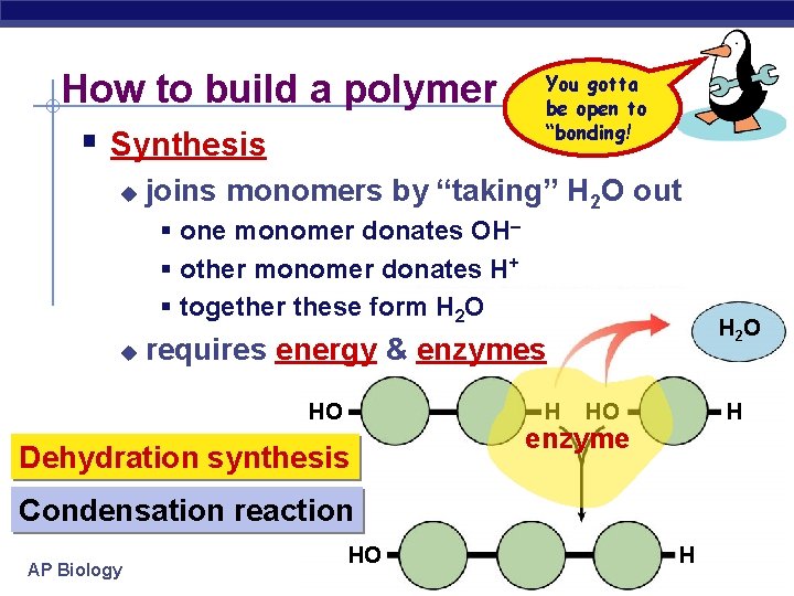How to build a polymer § Synthesis u You gotta be open to “bonding!