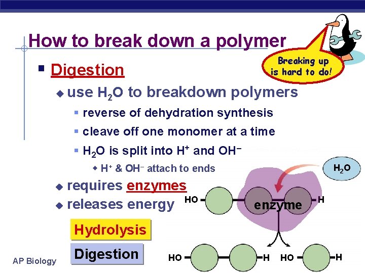 How to break down a polymer Breaking up is hard to do! § Digestion