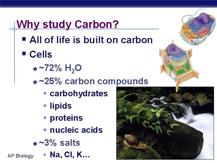 Why study Carbon? § All of life is built on carbon § Cells ~72%