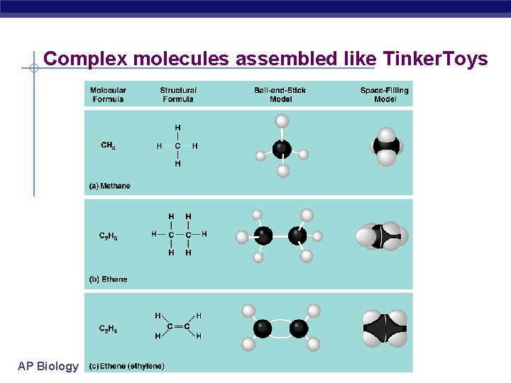 Complex molecules assembled like Tinker. Toys AP Biology 