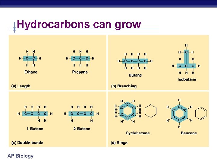 Hydrocarbons can grow AP Biology 