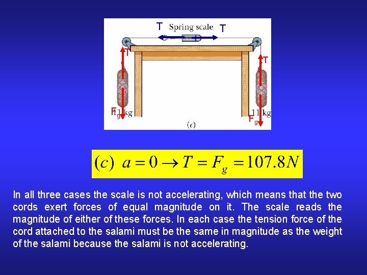 T T T Fg In all three cases the scale is not accelerating, which