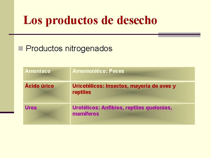 Los productos de desecho n Productos nitrogenados Amoniaco Amoniotélico: Peces Ácido úrico Uricotélicos: Insectos,