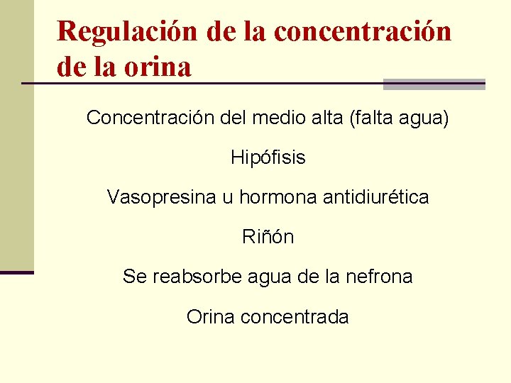 Regulación de la concentración de la orina Concentración del medio alta (falta agua) Hipófisis