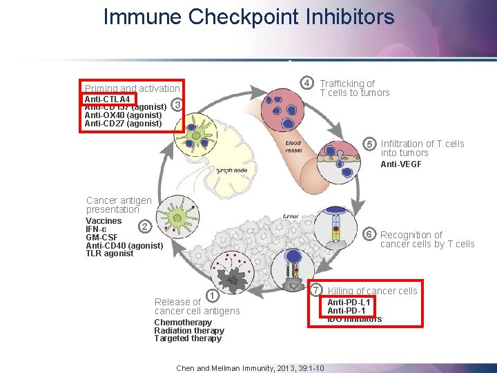Immune Checkpoint Inhibitors 4 Priming and activation Anti-CTLA 4 Anti-CD 137 (agonist) 3 Anti-OX