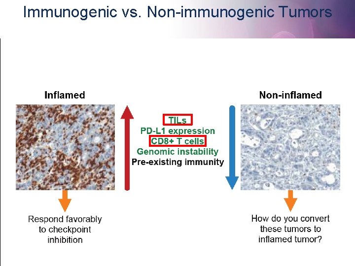 Immunogenic vs. Non-immunogenic Tumors 