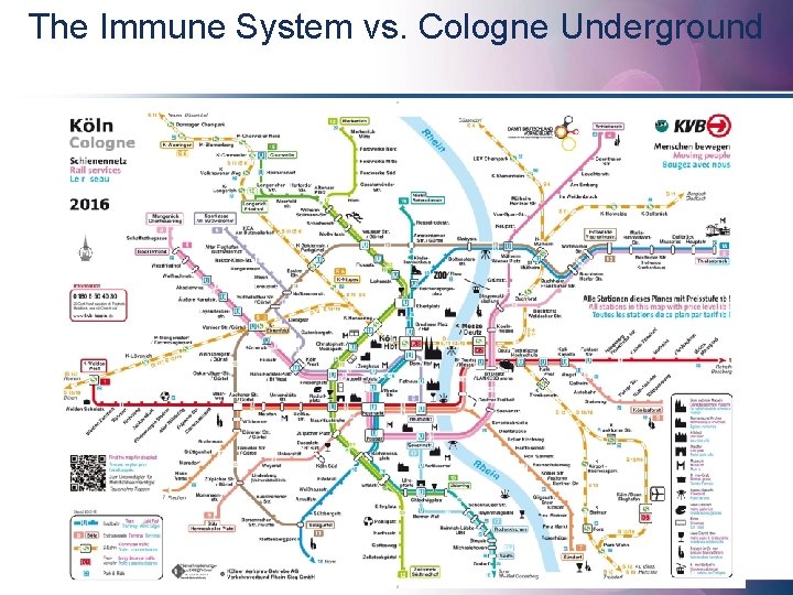 The Immune System vs. Cologne Underground 