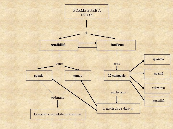 FORME PURE A PRIORI di sensibilità intelletto quantità sono spazio sono tempo 12 categorie