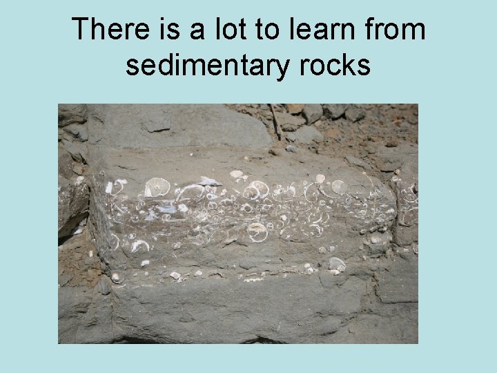 There is a lot to learn from sedimentary rocks 