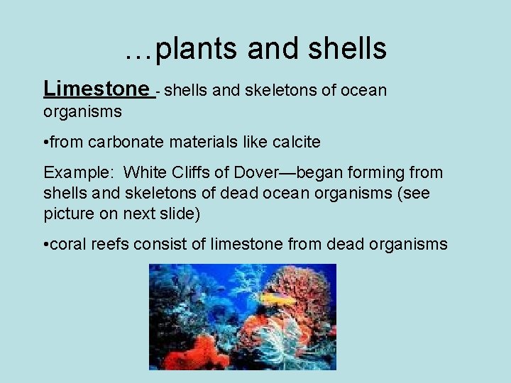 …plants and shells Limestone - shells and skeletons of ocean organisms • from carbonate