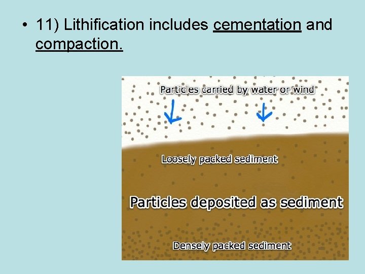  • 11) Lithification includes cementation and compaction. 