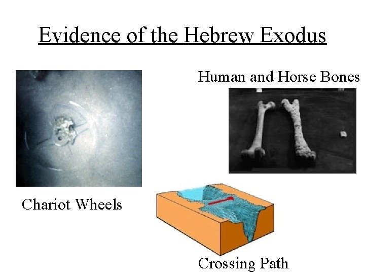 Evidence of the Hebrew Exodus Human and Horse Bones Chariot Wheels Crossing Path 