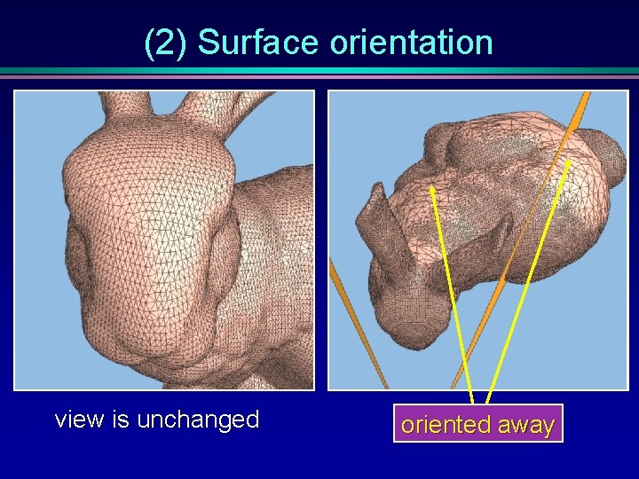 (2) Surface orientation view is unchanged oriented away 