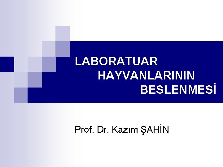 LABORATUAR HAYVANLARININ BESLENMESİ Prof. Dr. Kazım ŞAHİN 