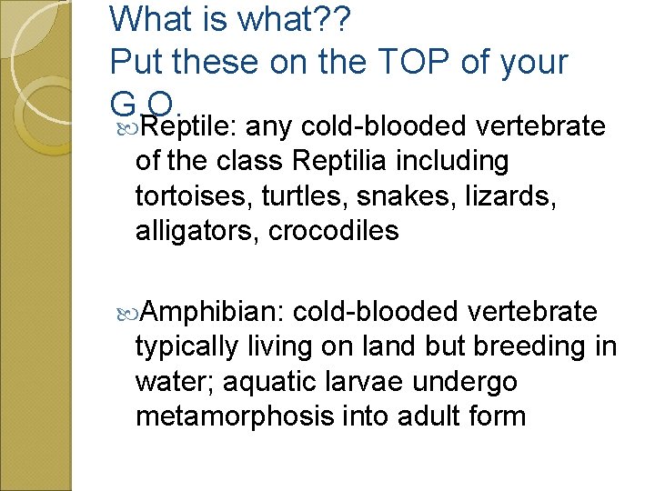 What is what? ? Put these on the TOP of your G. O. Reptile: