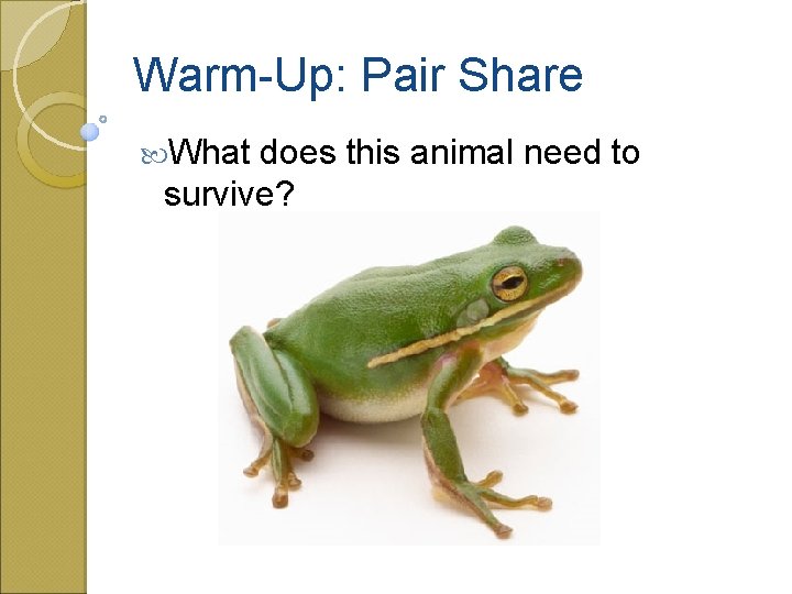 Warm-Up: Pair Share What does this animal need to survive? 