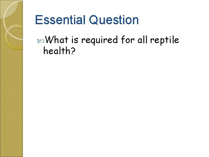 Essential Question What is required for all reptile health? 