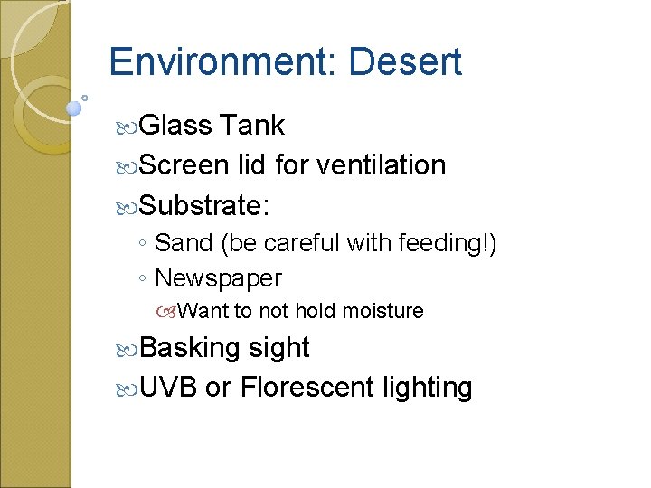 Environment: Desert Glass Tank Screen lid for ventilation Substrate: ◦ Sand (be careful with