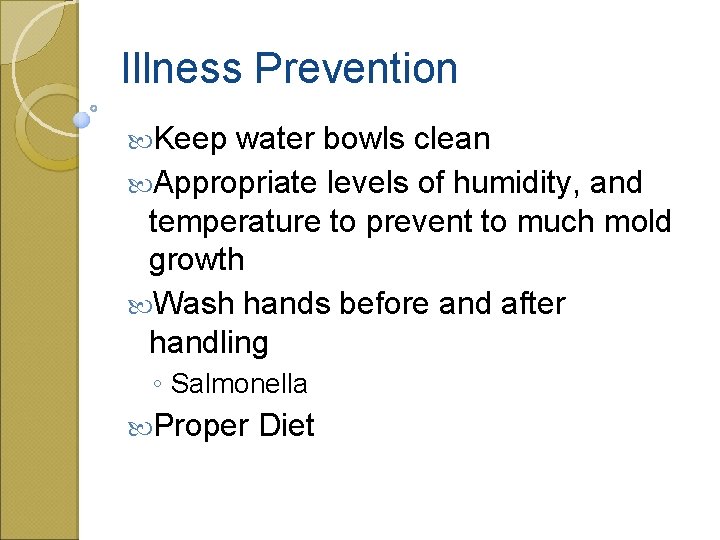 Illness Prevention Keep water bowls clean Appropriate levels of humidity, and temperature to prevent