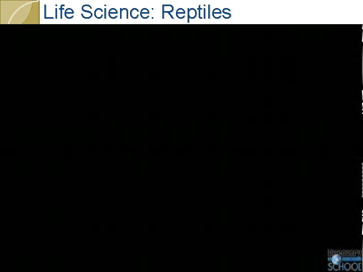 Life Science: Reptiles 