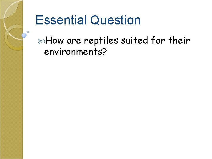 Essential Question How are reptiles suited for their environments? 