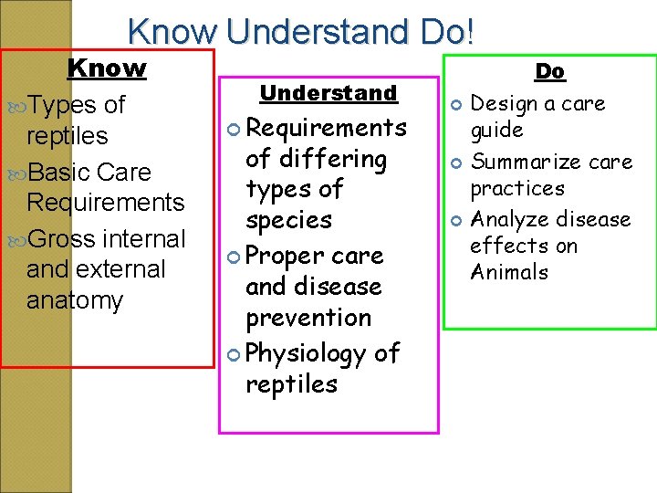 Know Understand Do! Know Types of reptiles Basic Care Requirements Gross internal and external