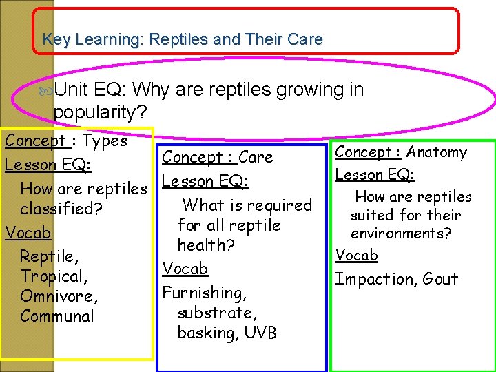 Key Learning: Reptiles and Their Care Unit EQ: Why are reptiles growing in popularity?