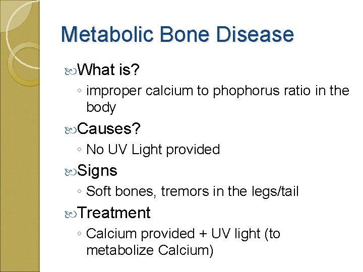 Metabolic Bone Disease What is? ◦ improper calcium to phophorus ratio in the body