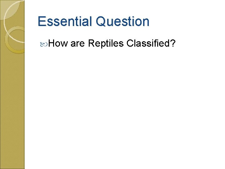 Essential Question How are Reptiles Classified? 