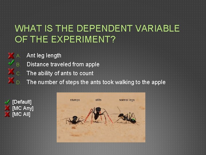 WHAT IS THE DEPENDENT VARIABLE OF THE EXPERIMENT? A. Ant leg length B. Distance WHAT IS THE DEPENDENT VARIABLE OF THE EXPERIMENT? A. Ant leg length B. Distance