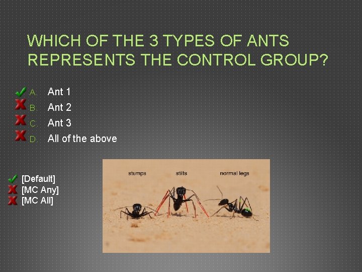 WHICH OF THE 3 TYPES OF ANTS REPRESENTS THE CONTROL GROUP? A. Ant 1 WHICH OF THE 3 TYPES OF ANTS REPRESENTS THE CONTROL GROUP? A. Ant 1