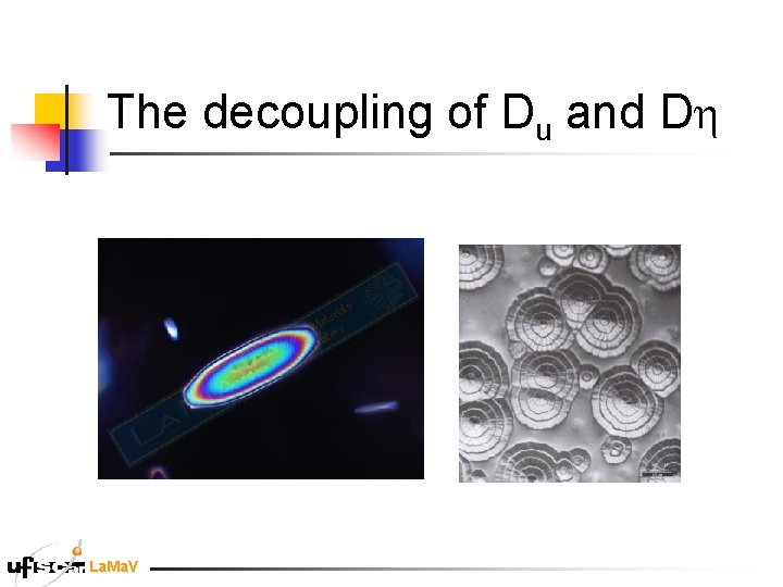 The decoupling of Du and Dh La. Ma. V The decoupling of Du and Dh La. Ma. V