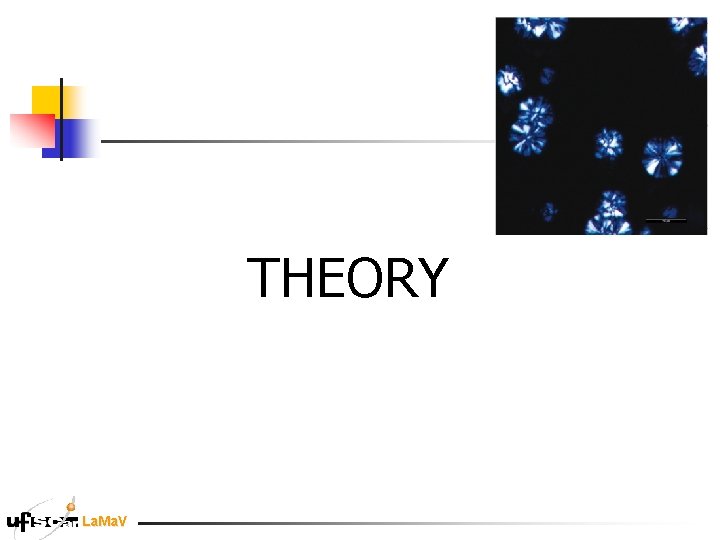 THEORY La. Ma. V THEORY La. Ma. V