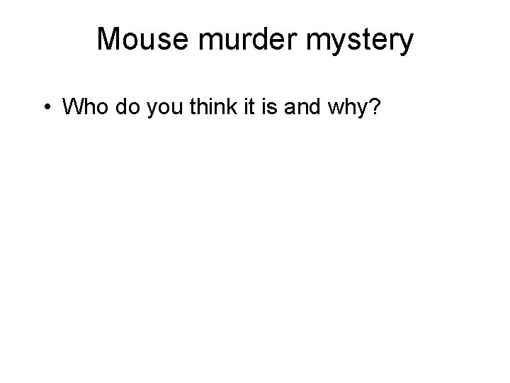 Mouse murder mystery • Who do you think it is and why? 